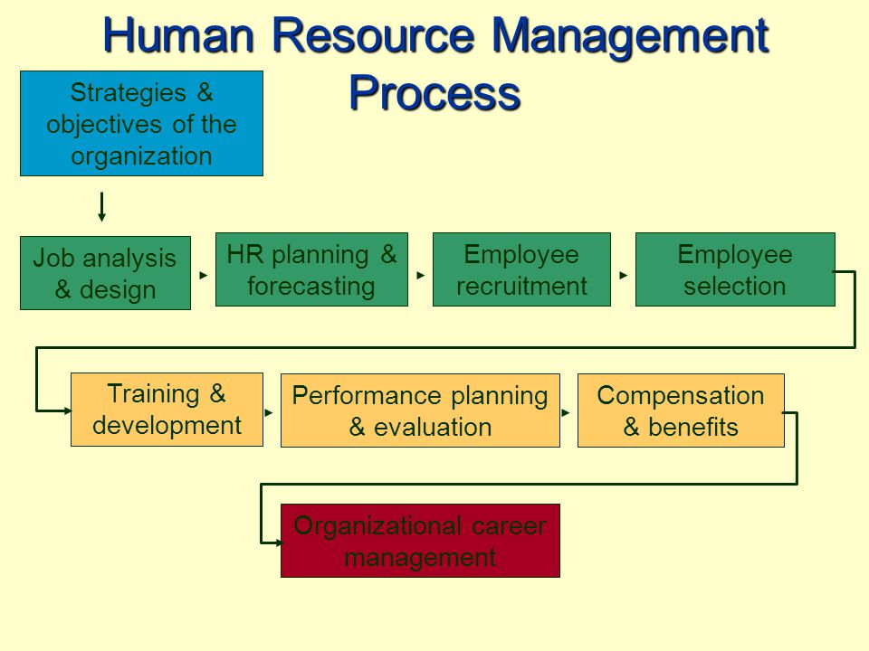 Performance Management Training
